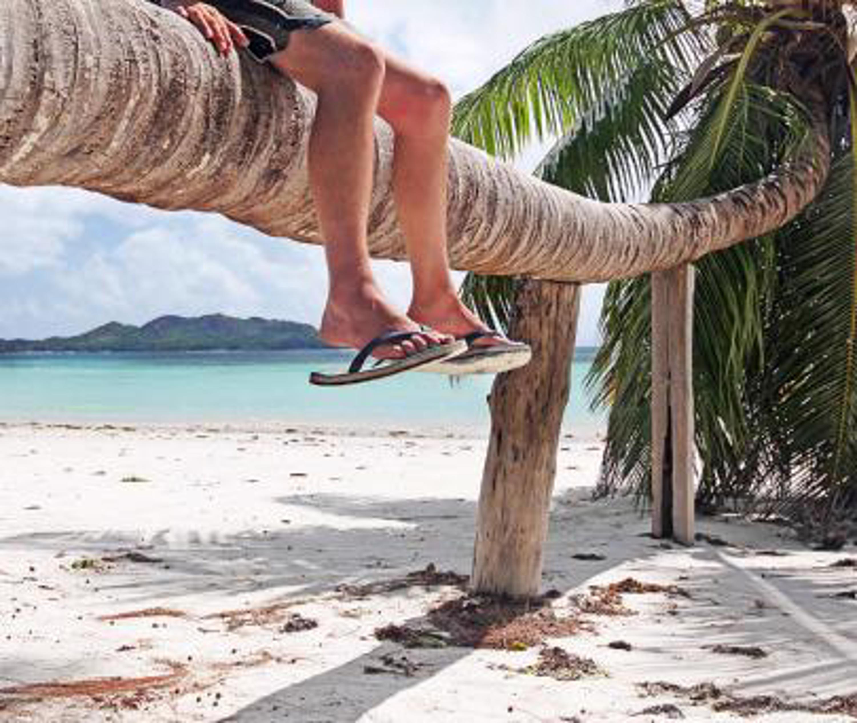 man sitting on tree limb wearing sandals