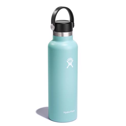 Hydro Flask 21 Oz Standard Mouth Bottle With Flex Cap Spearmint for sale  online
