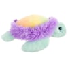 10930369000-ron-jon-small-ombre-turtle-plush-right-side.jpg