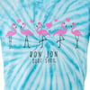 11570223083-turquoise-ron-jon-kids-happy-flamingos-tee-graphic.jpg