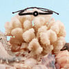 51640566000-4ocean-osborne-reef-bracelet-life-style.jpg
