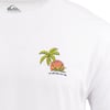 20140760001-quiksilver-ron-jon-in-the-wind-white-tee-front-detail.jpg