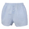 Light blue and white gingham-patterned shorts with an elastic waistband and two front buttons.