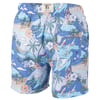 endless-summer-ron-jon-blue-surf-sails-and-fun-17-swim-volley-back.jpg