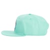 Side view of a light green snapback cap with a flat brim and a colorful embroidered logo on the front.