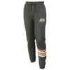 Gray joggers with drawstring waist, colorful stripes on left leg, and a multi-colored emblem on the right hip.