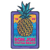 10800303000D--ron_jon_pineapple_palms_mini_sticker.jpg