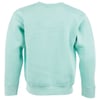 mint-ron-jon-toddler-sticker-collage-fleece-crew-neck-back.jpg