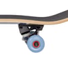 10750151000-ron-jon-national-park-complete-short-skateboard-side-trucks.jpg