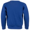 royal-ron-jon-toddler-surfing-skeleton-fleece-crew-neck-back.jpg