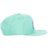 Side view of a mint green flat-brim cap with a small multicolored patch on the front.