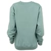 Back view of a plain, long-sleeved, light green sweatshirt with a ribbed hem and cuffs.