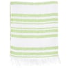 10880296000-ron-jon-green-beach-blanket-back.jpg