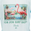 Illustration of two flamingos by a pond with palm trees and flowers, text reads Greetings from RON JON SURF SHOP® Florida on a light blue background.
