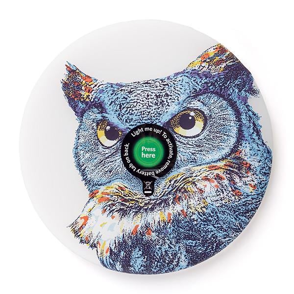 70803899080D--waboba_owl_wingman_ufo_led_disc.jpg