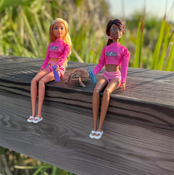 Surf Apparel & Accessories | Ron Jon Surf Shop