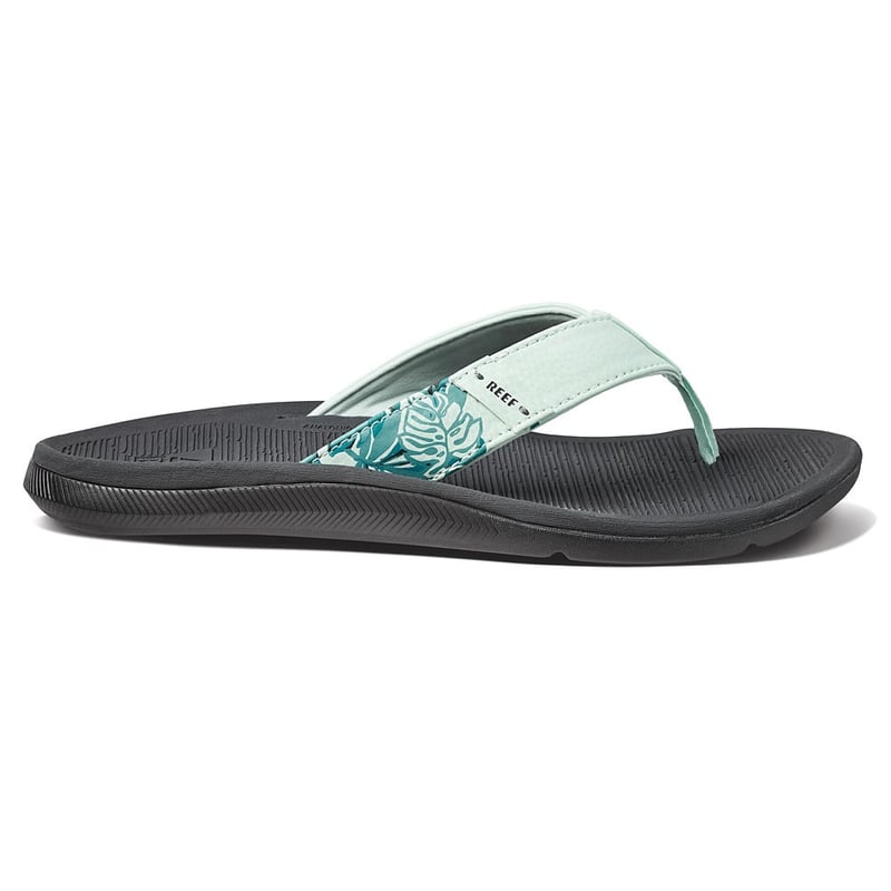 Reef rover catch mint shop